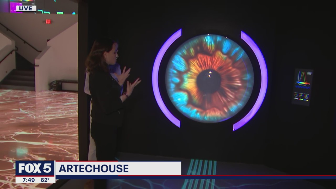 FOX 5 FIELD TRIP: Life of Neuron exhibit at Artechouse