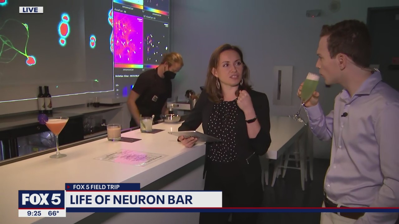 FOX 5 FIELD TRIP: Exhibits and more at Artechouse