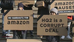Politics of the failed Amazon plan