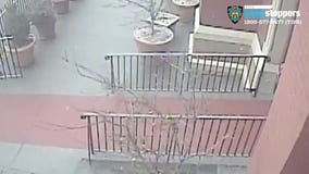 Vandal throws statue in garbage