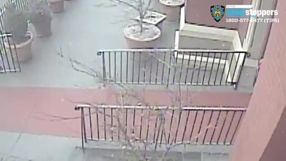 Vandal throws statue in garbage