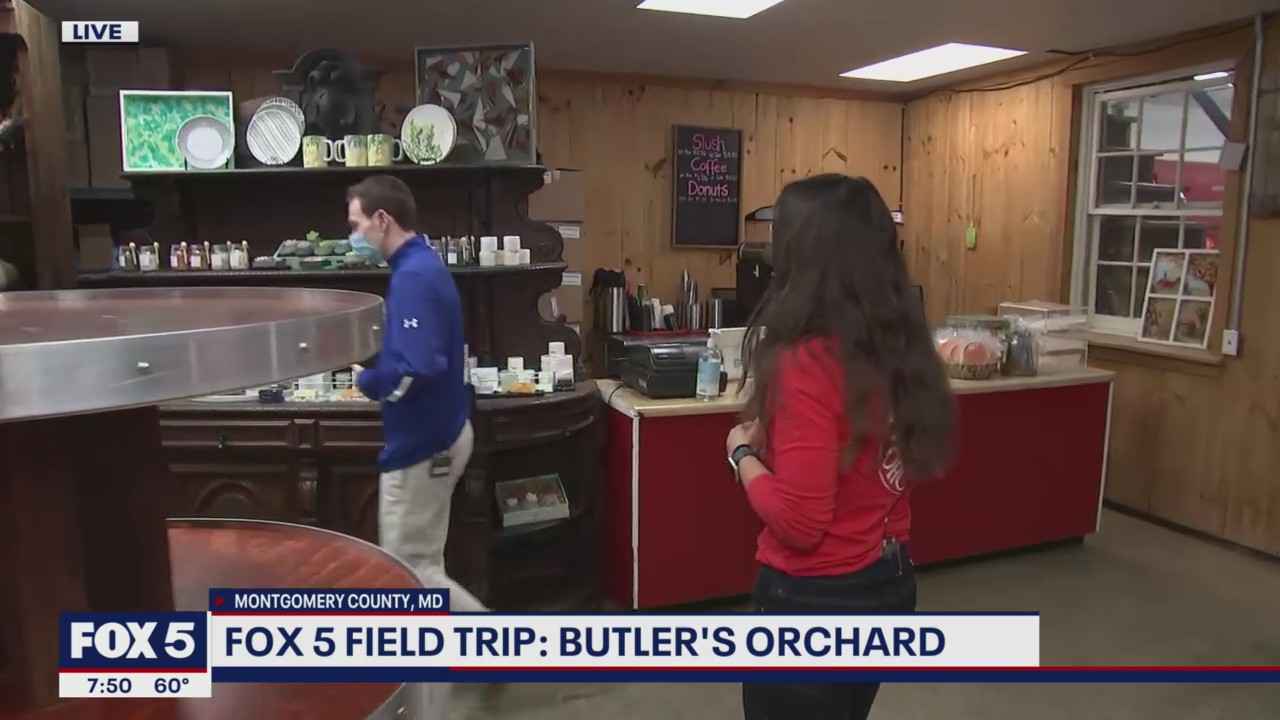 FOX 5 FIELD TRIP: Getting ready for Halloween at Butler's Orchard!