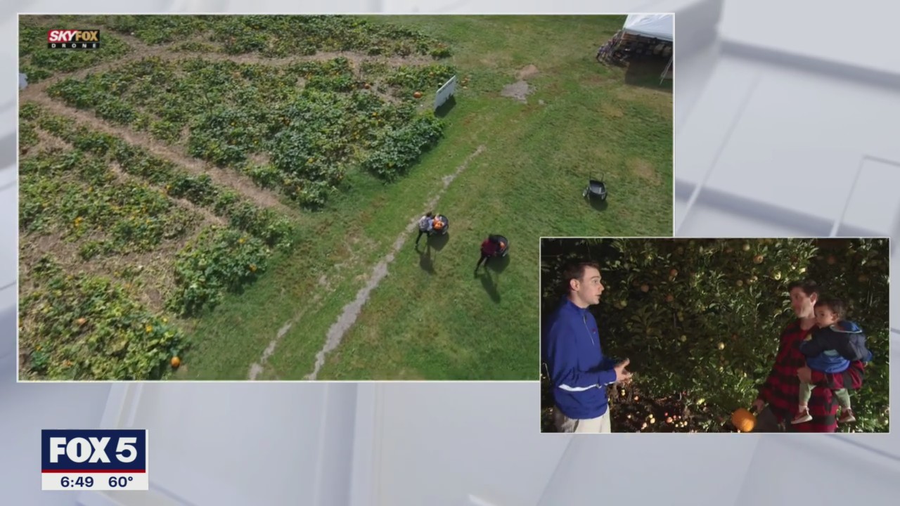 FOX 5 FIELD TRIP: Fall fun at Butler's Orchard!