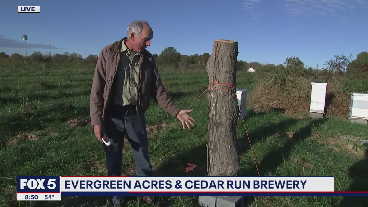 FOX 5 FIELD TRIP: Evergreen Acres and Cedar Run Brewery