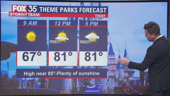 Theme park forecast