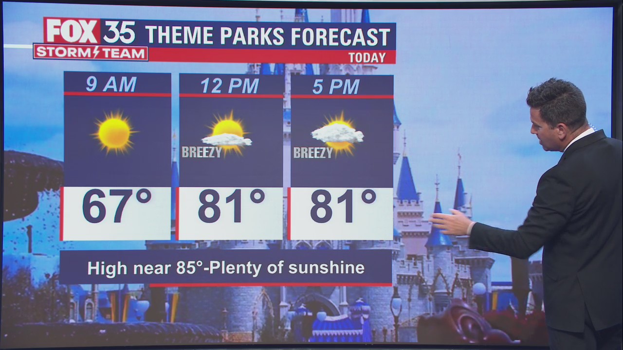 Theme park forecast