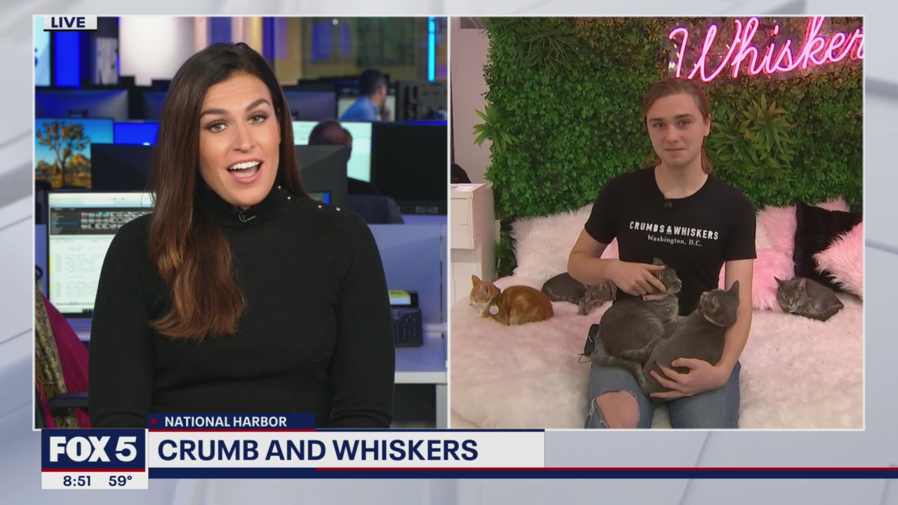 Getting into the Halloween spirit at Crumb and Whiskers!