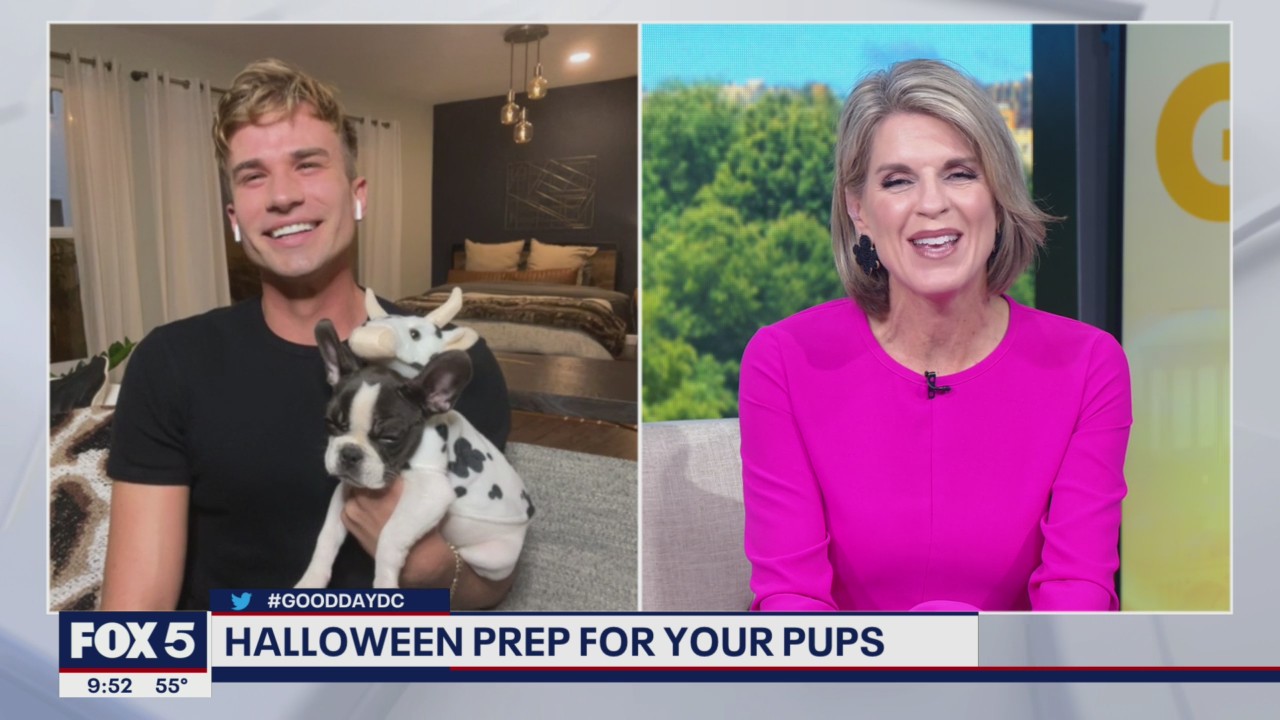 Prepping your pups for Halloween