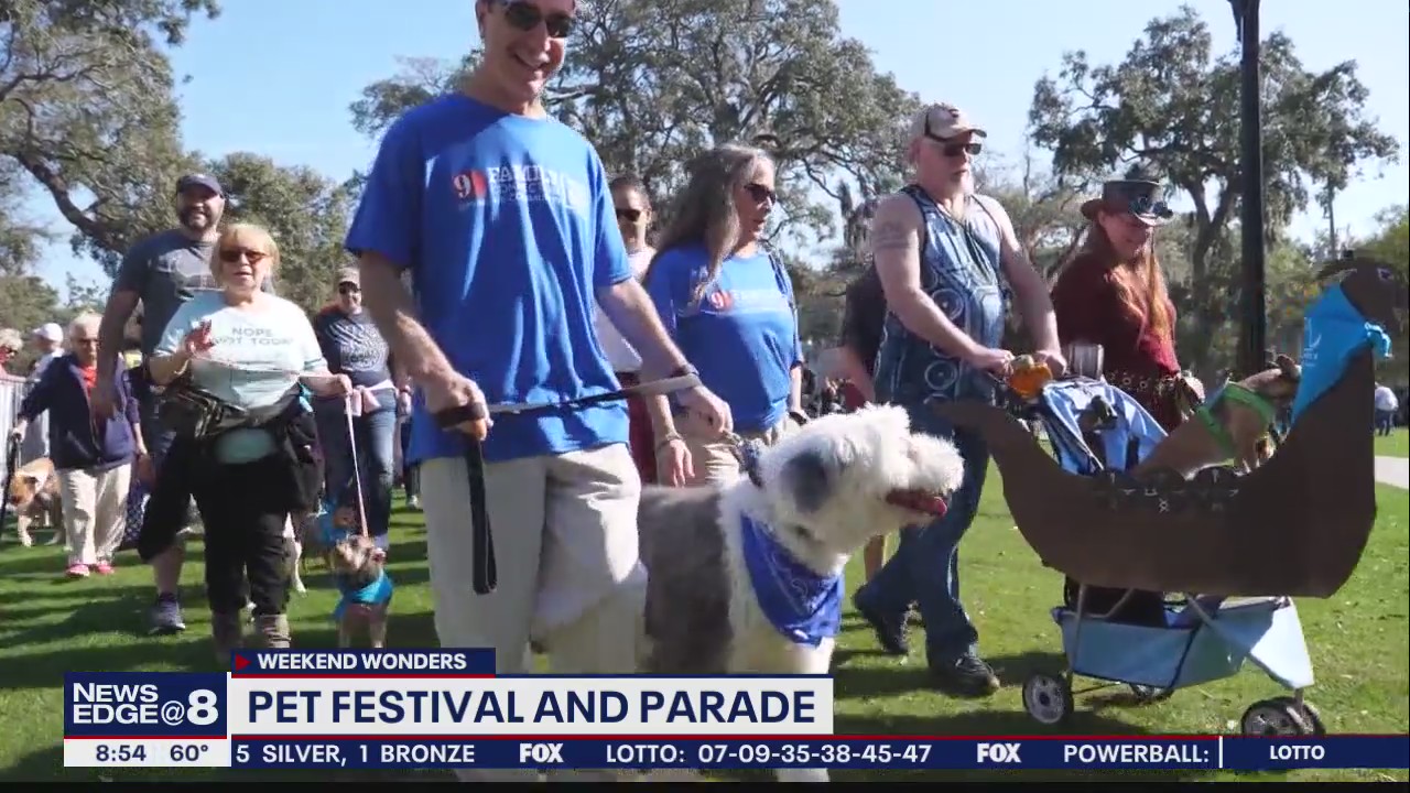 Weekend Wonders: Dua Lipa, Row and Sip & Pet Festival