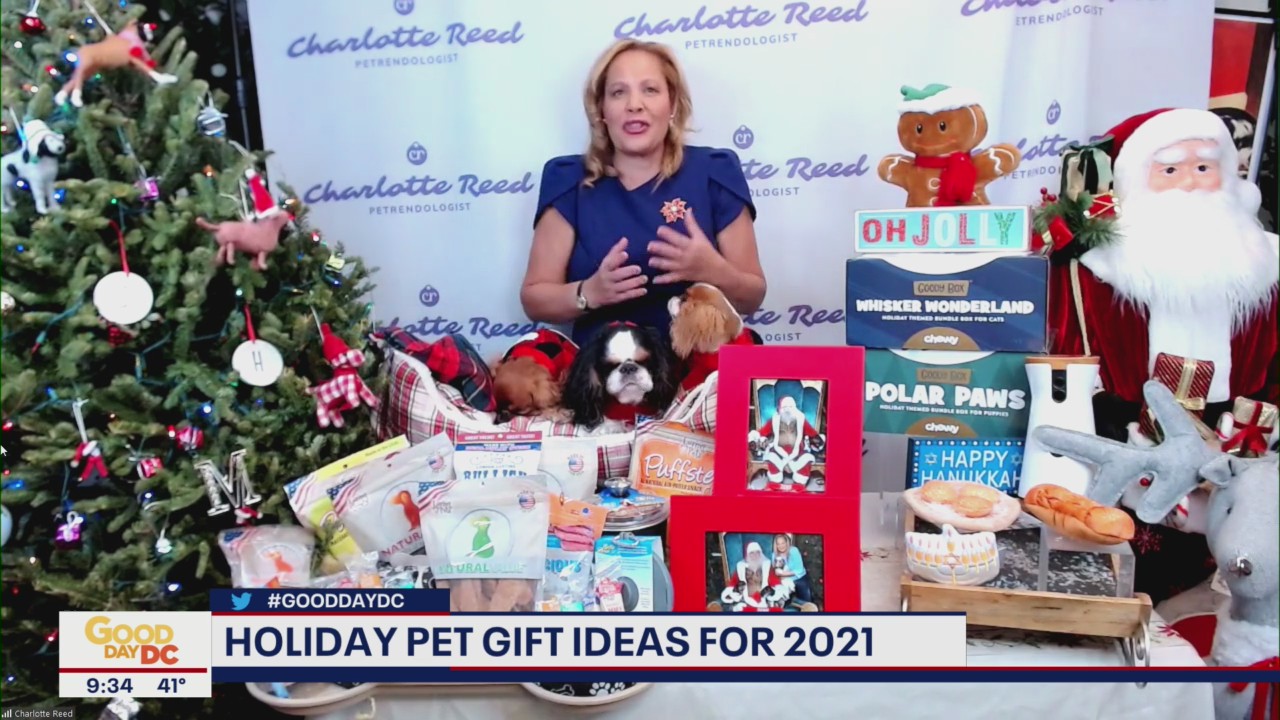 Holiday gift ideas for pet owners
