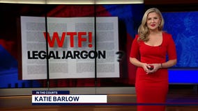 In the Courts: WTF! Legal Jargon