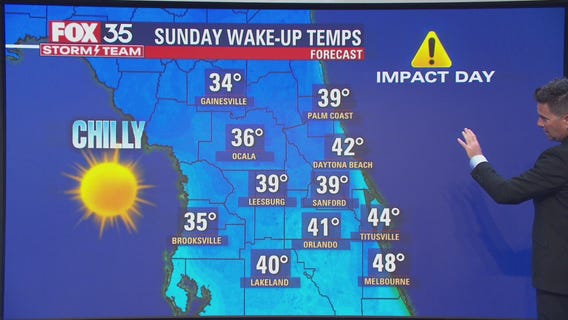We Love Florida Forecast: March 8, 2022