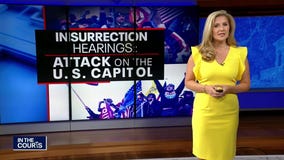 In The Courts: Insurrection Hearings and Legal Jargon