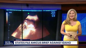 In The Courts: Opioids, peanut butter sandwiches and more Ripped from the Headlines