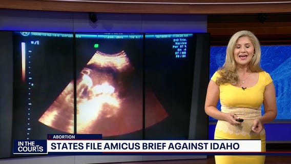 In The Courts: Opioids, peanut butter sandwiches and more Ripped from the Headlines