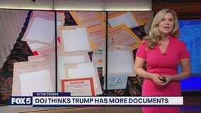 DOJ thinks Trump has more documents