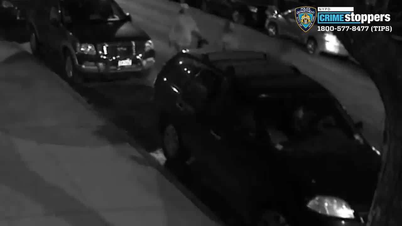 Vicious assault on man with baseball bat