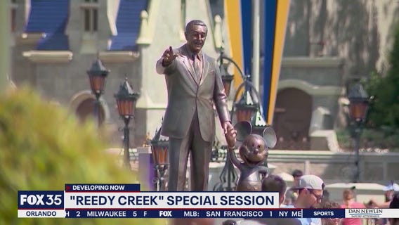 Political analyst says there's a 50-50 chance of Reedy Creek extinction