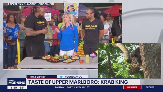 Tasty dishes from Krab King