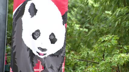 Smithsonian National Zoo hosts Panda Palooza to say farewell to DC pandas | FOX 5 DC
