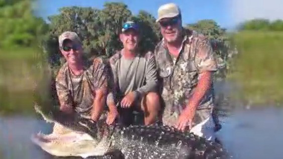 How to survive an alligator attack