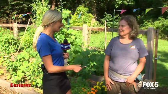 Pay It Forward: Volunteer organization HarvestShare helps fight food insecurity across Montgomery County