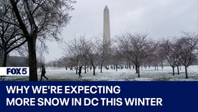 DMV Winter 2023-2024 Outlook