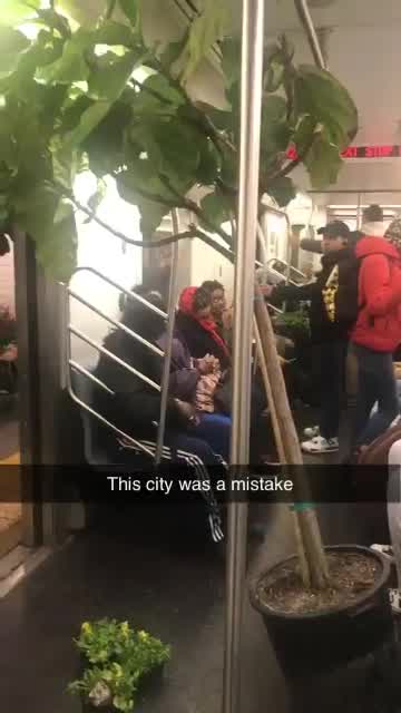 Man loads trees onto subway car