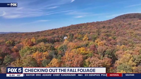 DRONE FOOTAGE of beautiful fall foliage