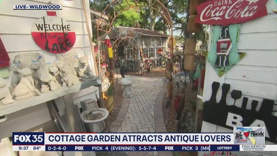 Cottage garden attracts antique lovers