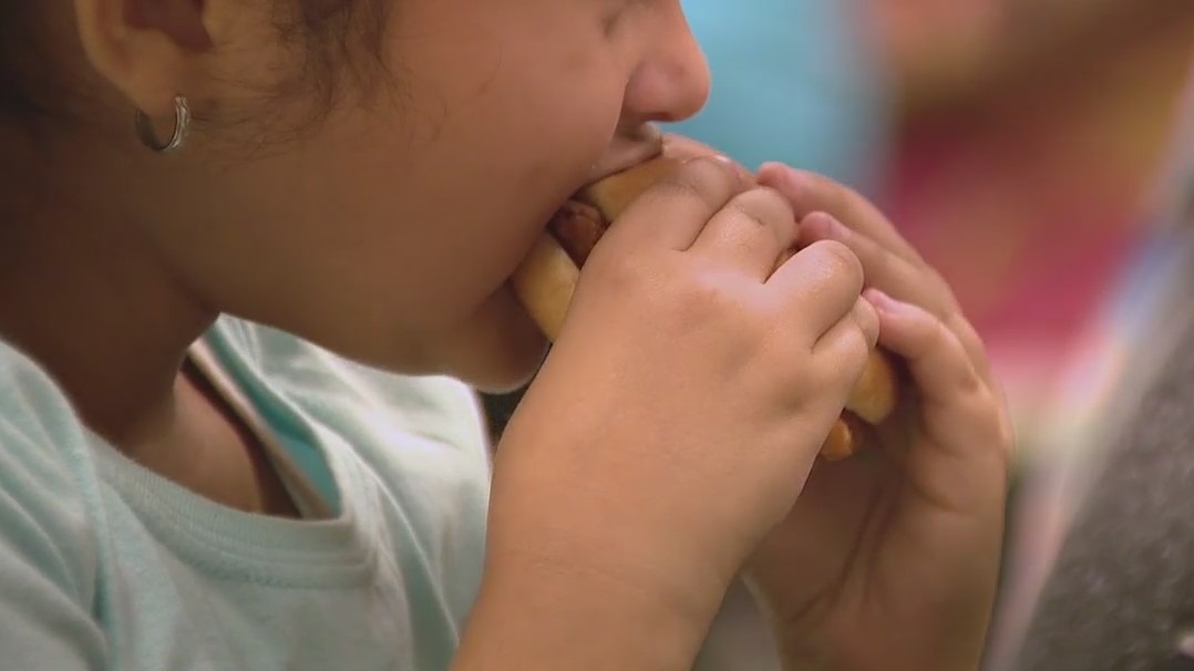 USDA school lunch waiver expiring: How its impacting one Florida school district