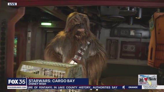 Star Wars: Cargo Bay on the Disney Wish cruise ship