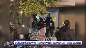 Concerns grow after Pro-Palestinian protesters clash with police outside DNC headquarters