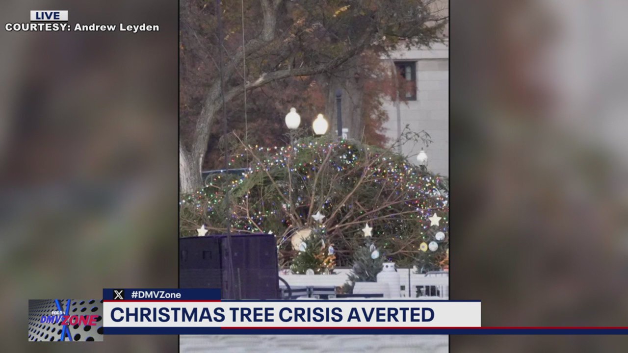 Strong winds knock over National Christmas Tree