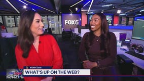 Where to cut down your own Christmas tree around the DC area