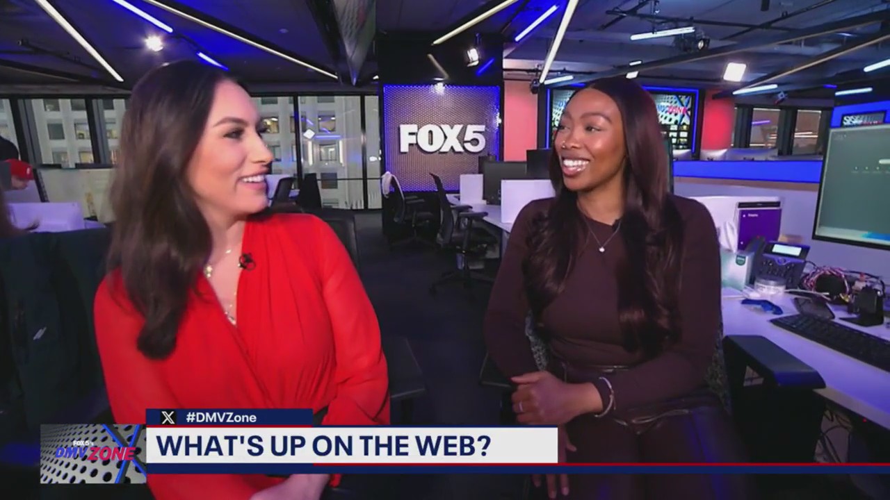 Where to cut down your own Christmas tree around the DC area