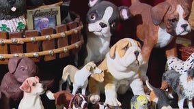 Meet 'The Dogfather' of Flagler County