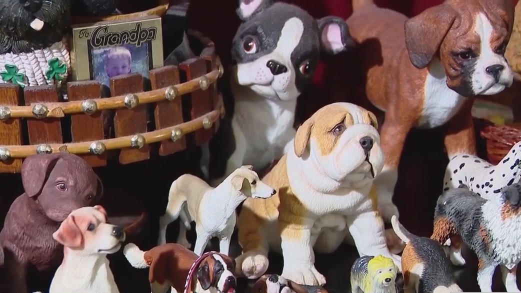 Meet 'The Dogfather' of Flagler County