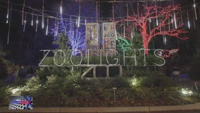 15th Annual Zoolights returns for another year at the Smithsonian National Zoo
