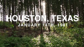 The Baby Holly Journey