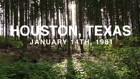 The Baby Holly Journey