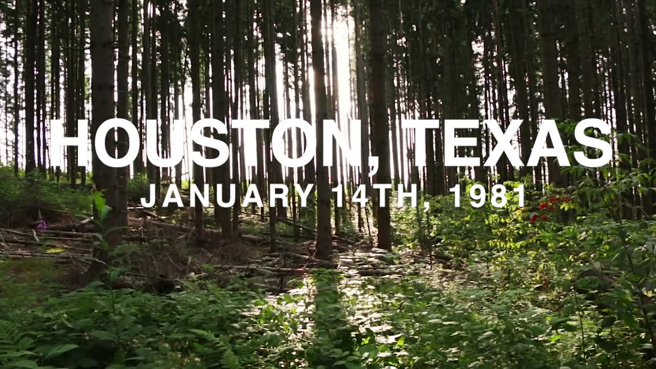 The Baby Holly Journey