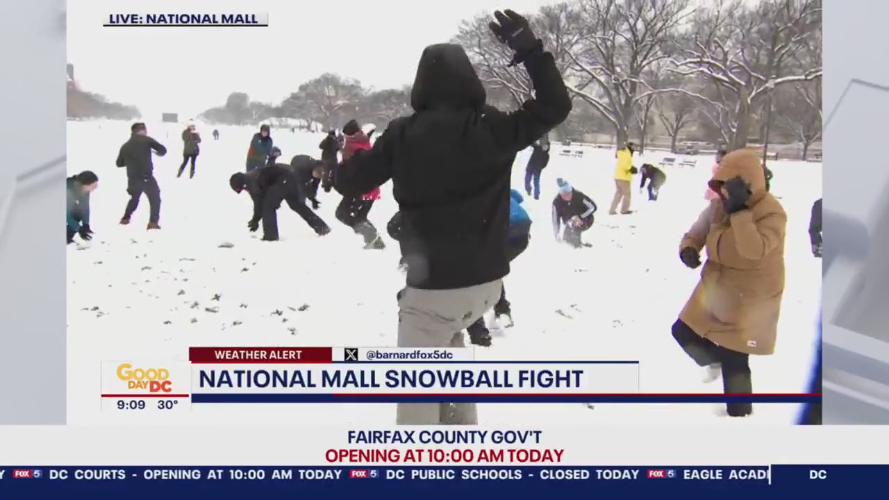 Snowball fights return to National Mall | FOX 5 DC