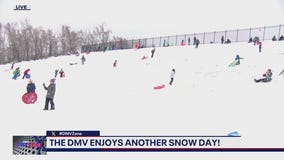 Another snow day filled with sledding  in the DMV