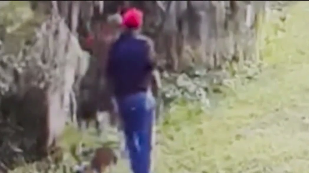 Body found believed to be missing 73-year-old Florida man