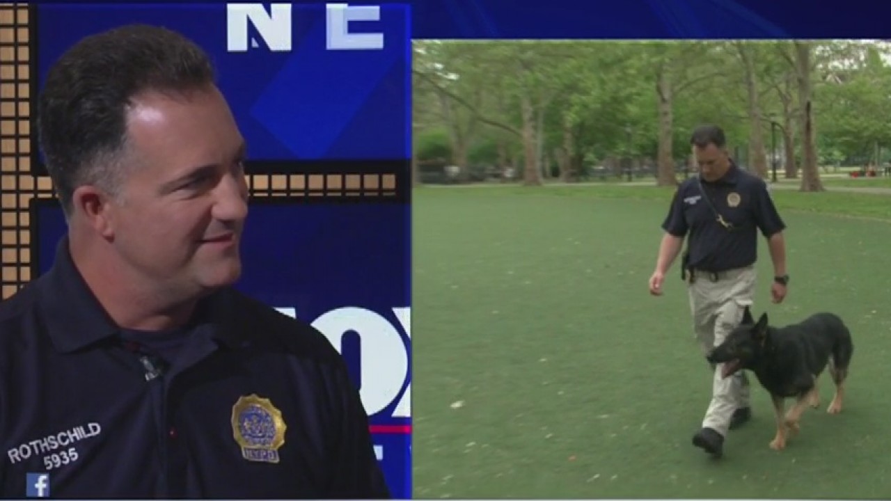 Training NYPD dogs