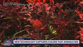 George Mason University develops new technology capturing colors that animals see