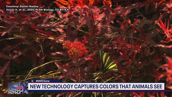George Mason University develops new technology capturing colors that animals see