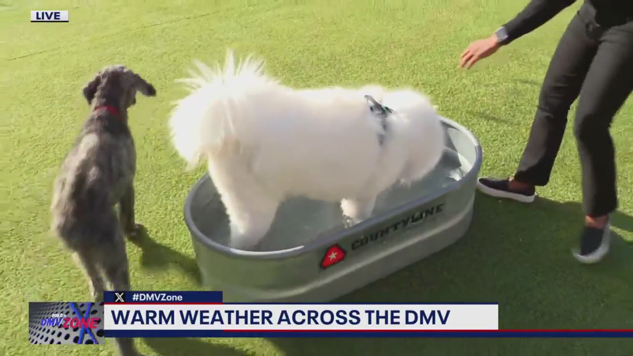 Warm weather across the DMV