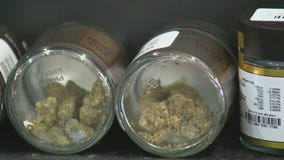 More seniors being hospitalized due to marijuana use